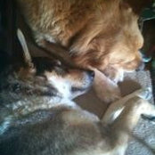 Sharon Burket's photo