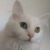 Bunny Hethcox's photo