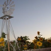 Deborah Mavrolas's photo