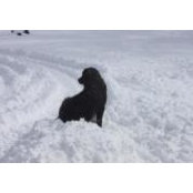 Ann Nilsson's photo