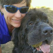 Gina Bonnell's photo