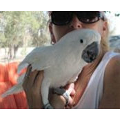 Claudia Hansen's photo