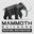 Mammoth Builders Roofing and Restoration