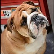 Sylvie Doiron's photo