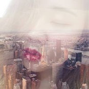 Thao Tran's photo