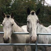 Jenn Thiele's photo