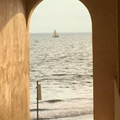 Chrys Dahl's photo
