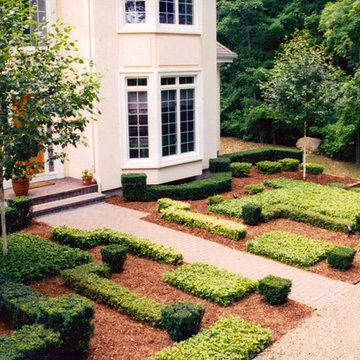 Front yard courtyard garden abstract hedges