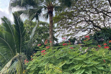 ハワイにあるおしゃれな庭の写真