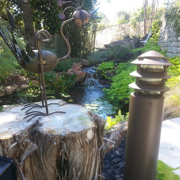 Ecosystem Ponds, Water Garden Ideas for Your Austin, Central Texas Landscape