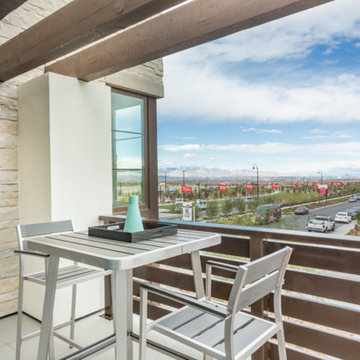 Contemporary Transitional Home