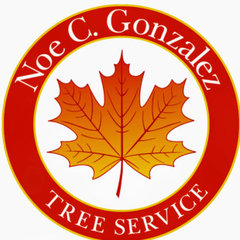 Noe Gonzalez Tree Service
