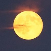 Melissa Robertson's photo