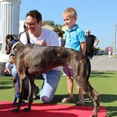 Kedea srl Unipersonale