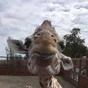 Cheryl DeNeve's photo