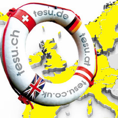 TESU Umzug Österreich Irland England