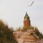 Alison Angermaier's photo
