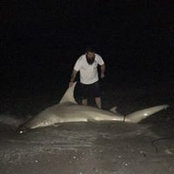Matt Baldwin's photo