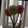 chic_tobechic