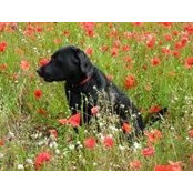 Rhona Hadfield's photo