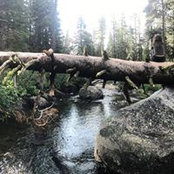 Sara Zepeda's photo