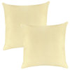 A1HC Nylon PU Coat Indoor/Outdoor Pillow Covers, Set of 2, Pale Leaf, 20"x20"