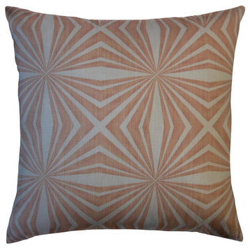 The Pillow Collection Orange Sampson Throw Pillow Cover, 22"x22"