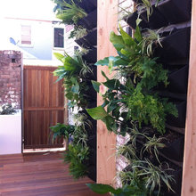 Wall Garden