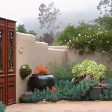 Landscape Ideas