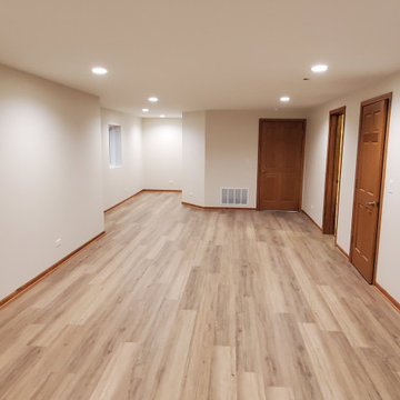 Finished basement great room