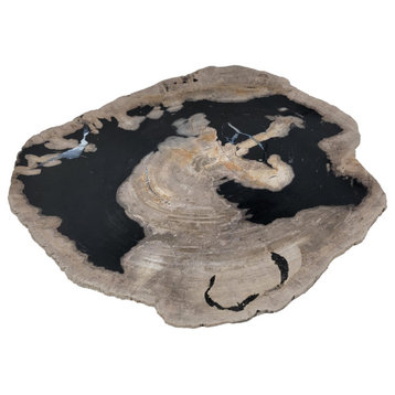 Large 17 in Petrified Wood Stone Tray Centerpiece Plate Fossil Live Edge Natural