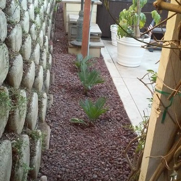 Previous Jobs