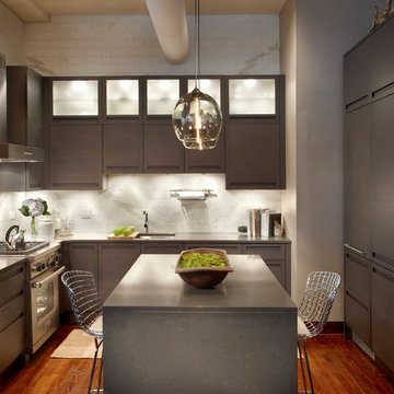 TERRA Dark Oak Remodel in Chicago