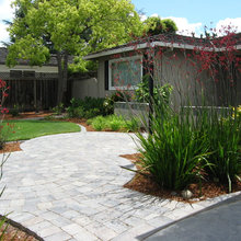 jonathan's front yard