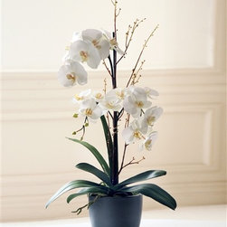 White Phalaenopsis Orchid - Artificial Flowers Plants And Trees