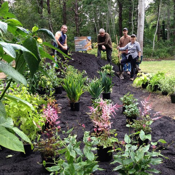 Chatham Hydranga Garden