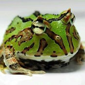 Mike Yong's photo