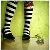 Missy Cook's photo