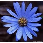 Katie Dillon's photo