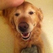 Alice Ashton's photo