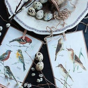 Alexandra Otten-Marekova's photo