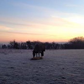 Foto von Jane Webb