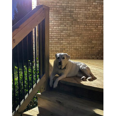NC DECK & RAILING COMPANY LLC