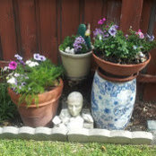 Jacqueline Powers's photo