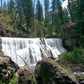 Nicole Albert's photo