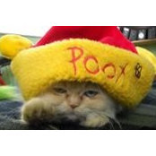 Caro Coba's photo