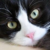 Ilka Frankenstein's photo