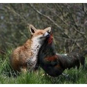 Beverley McCoy's photo