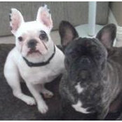 Ronda Binen's photo
