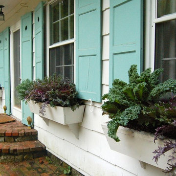 container plantings for autumn